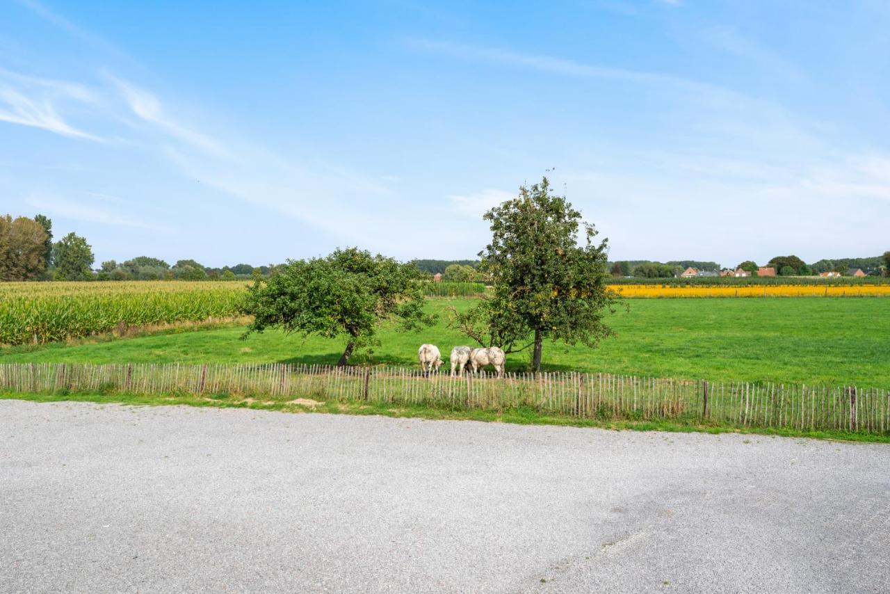 Burgemeestershof Wetteren Luaran gambar