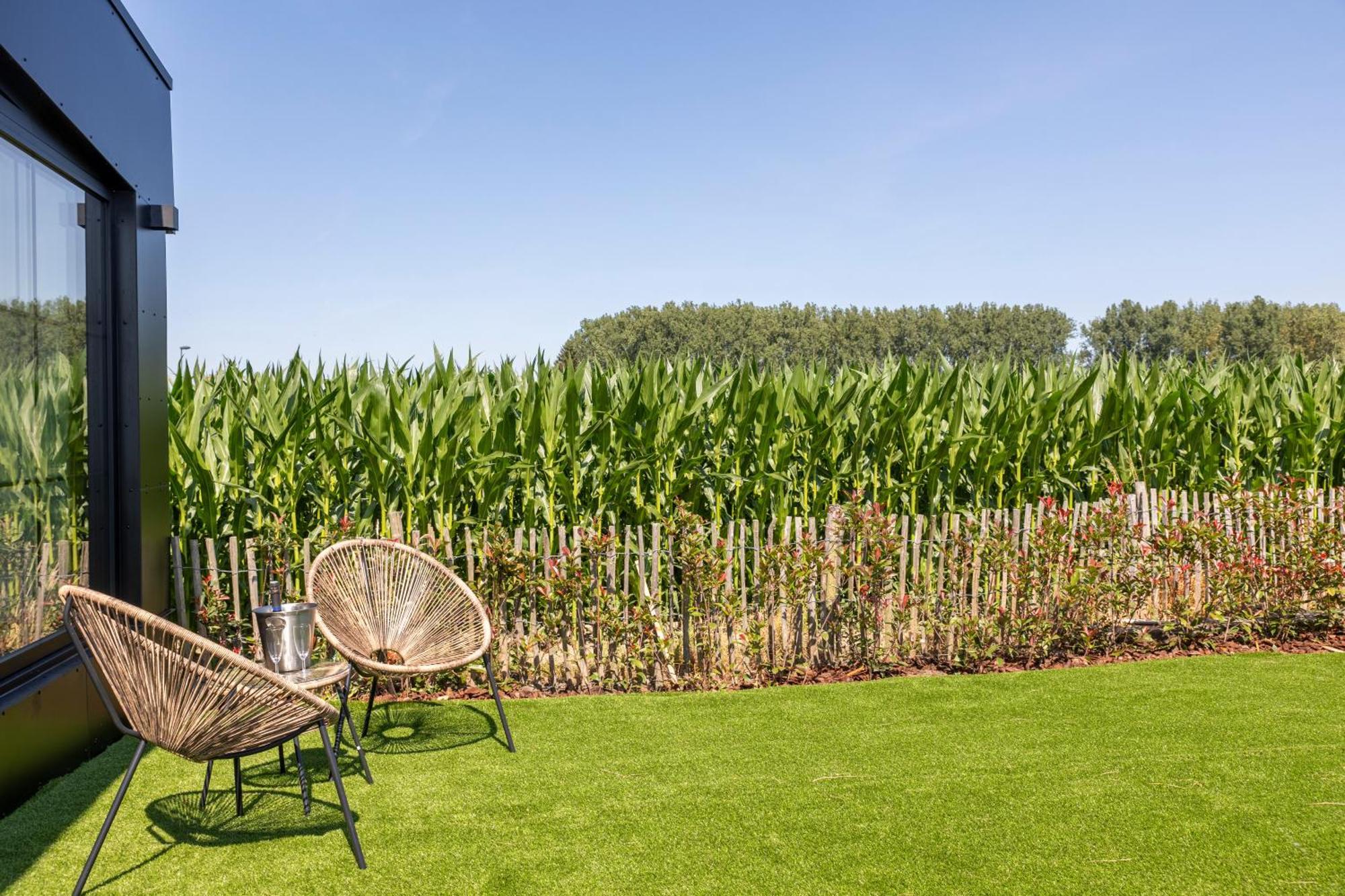 Burgemeestershof Wetteren Luaran gambar